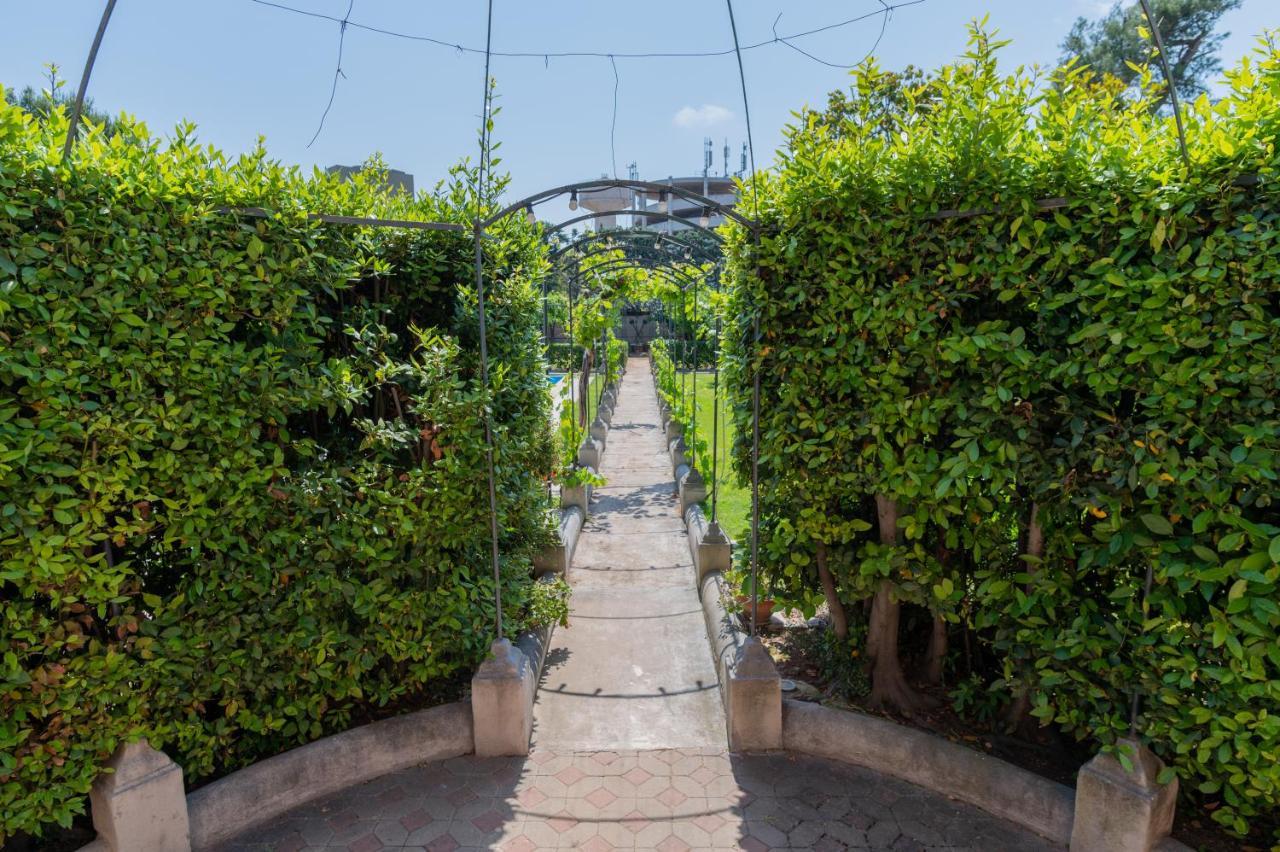 Villa Luisa バーリ エクステリア 写真
